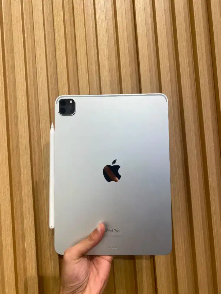 Ipad pro m2 256 11 inch fullset mulus