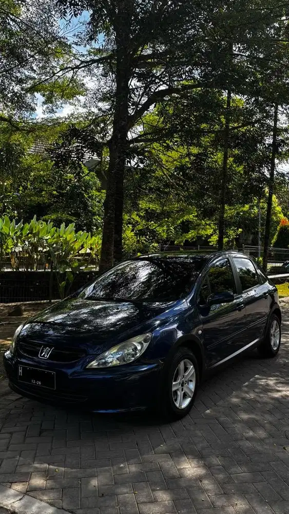 Peugeot 307 Manua