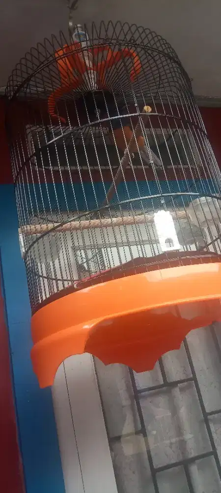 Kandang burung besi