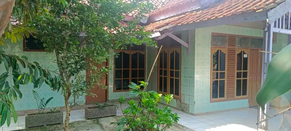 For Sale Rumah Luas dan Asri di Pedesaan