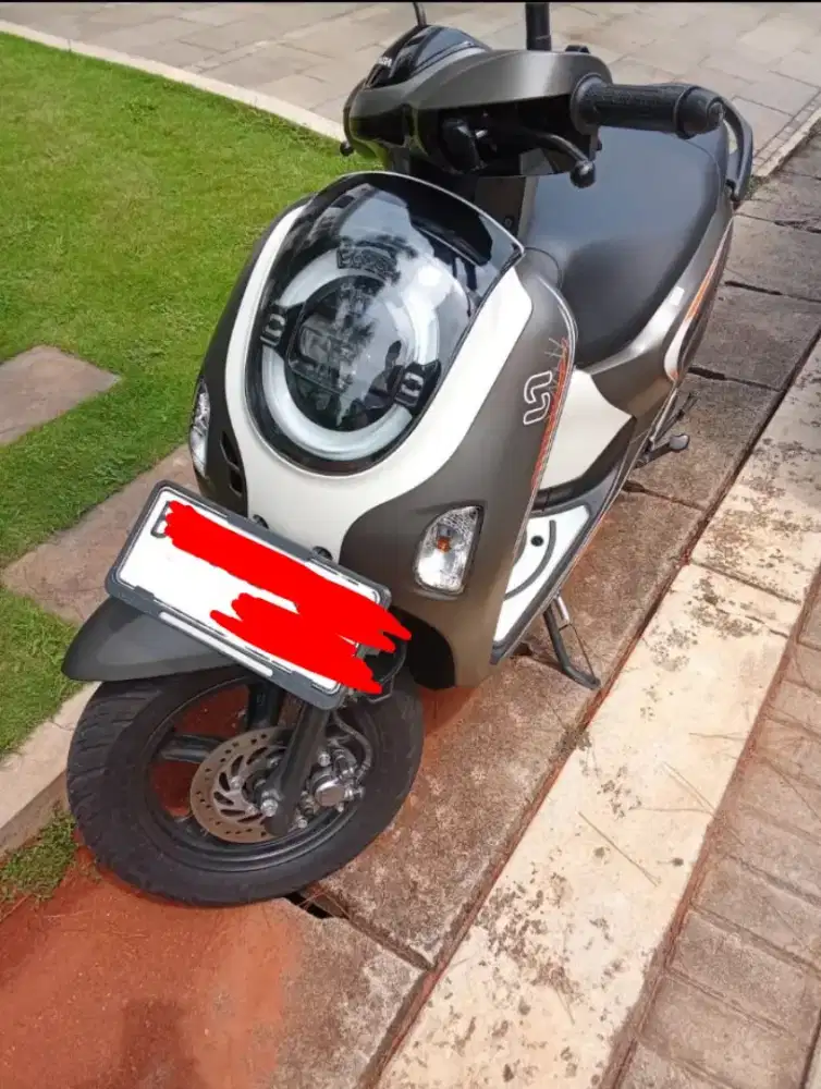 Jual Scoopy Fashion 2024
