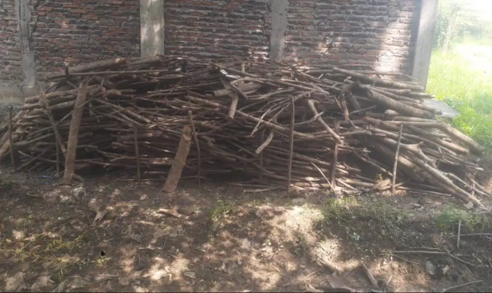 Kayu bakar bahan jati