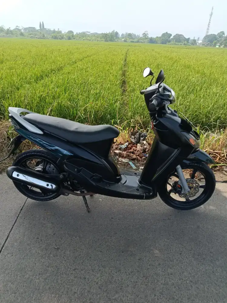 Mio garnis 2009