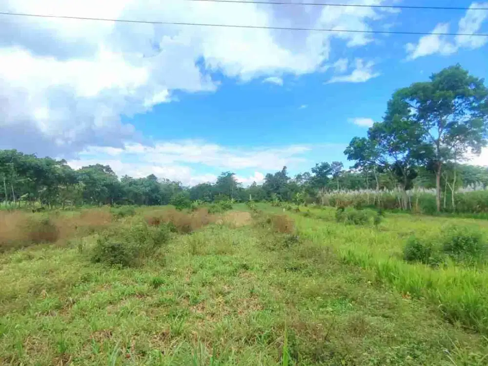 Dijual tanah diLedokombo Jember