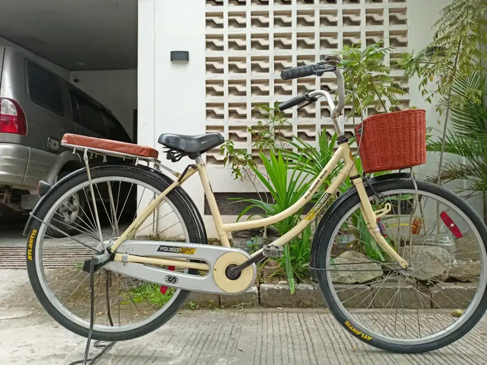Sepeda united keranjang 26 inch