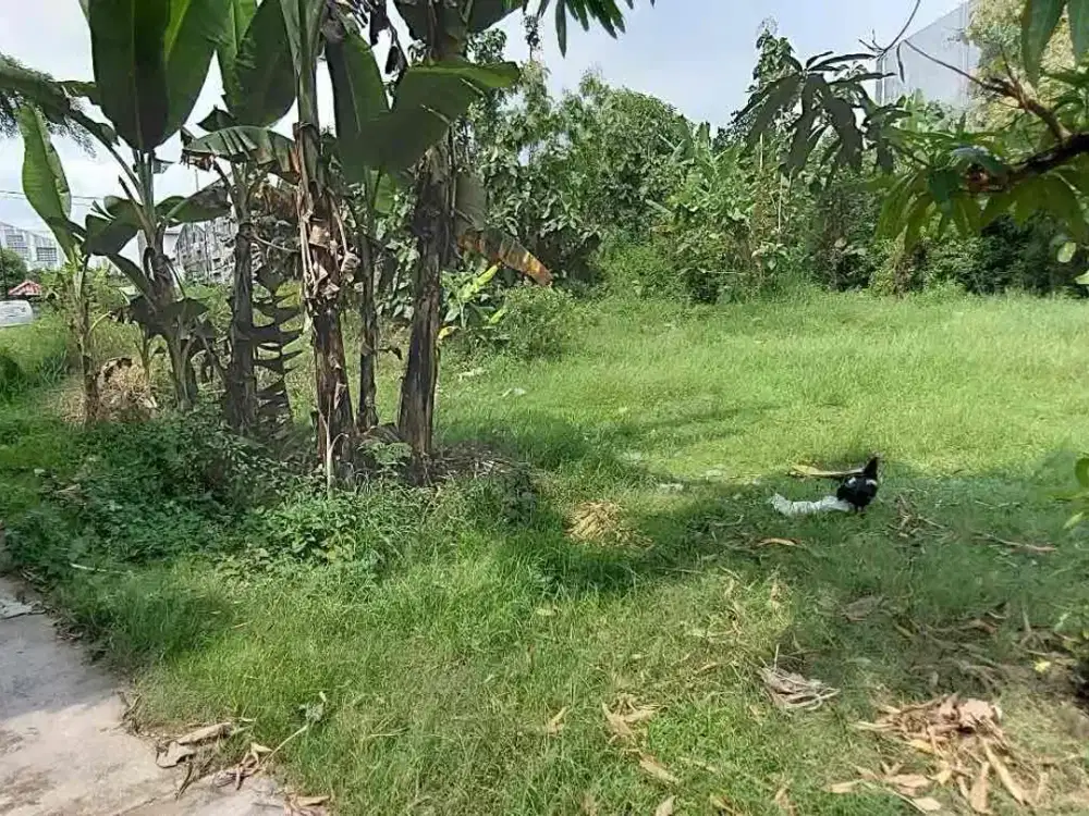 dijual tanah dimojosongo