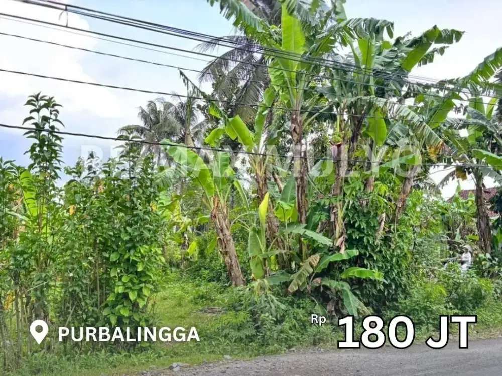 Tanah Dijual Tepi Jalan Besar Dam Strategis Cocok Untuk Usaha Area Purbalingga
