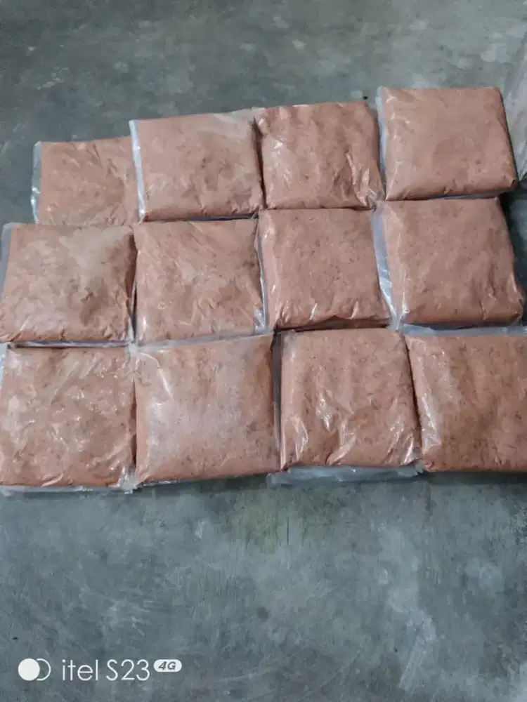 DiJual  murah 1 Pcs Pakn Umpn Pncing Olahn Udng Fresh Utk Cpt Dpt Ikan