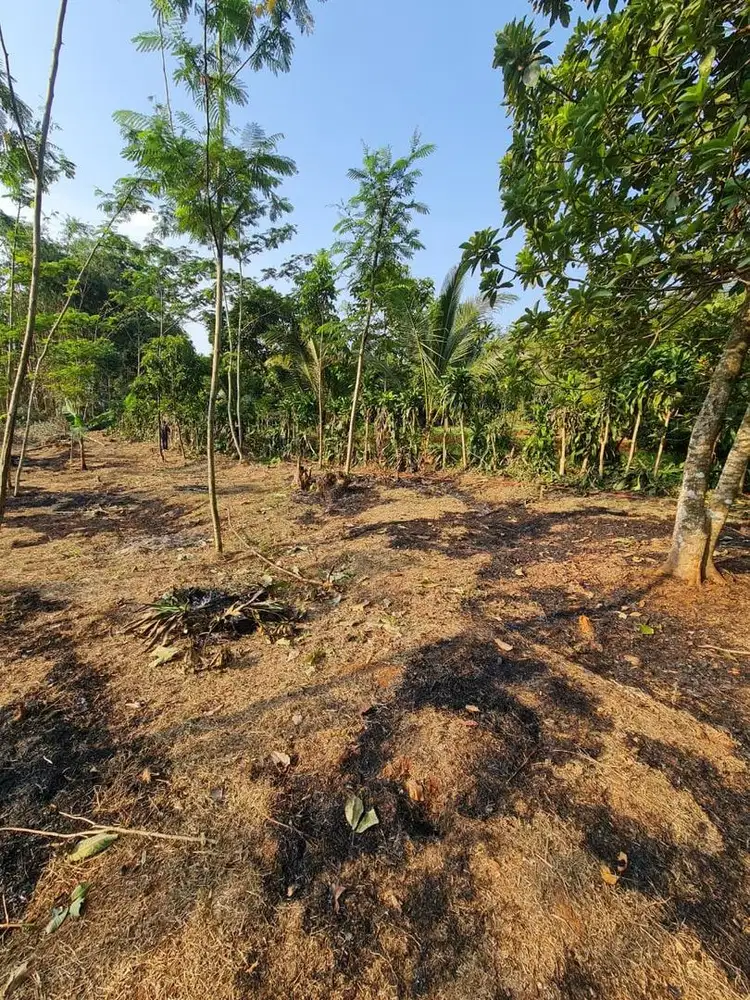 Kebun, cocok untuk villa