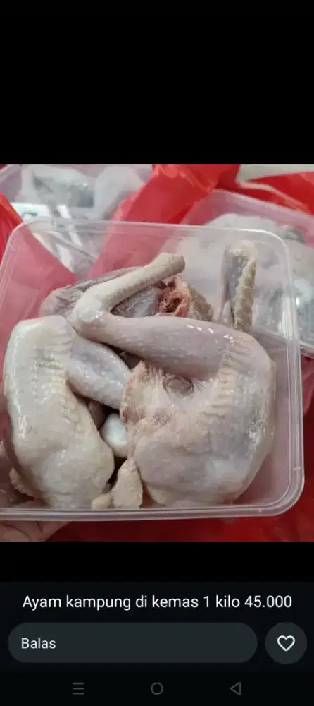 Ayam kampung berat 1kg
