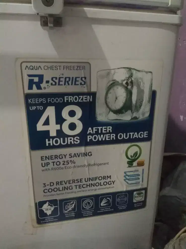 Frizer  Frozen mau pindahan