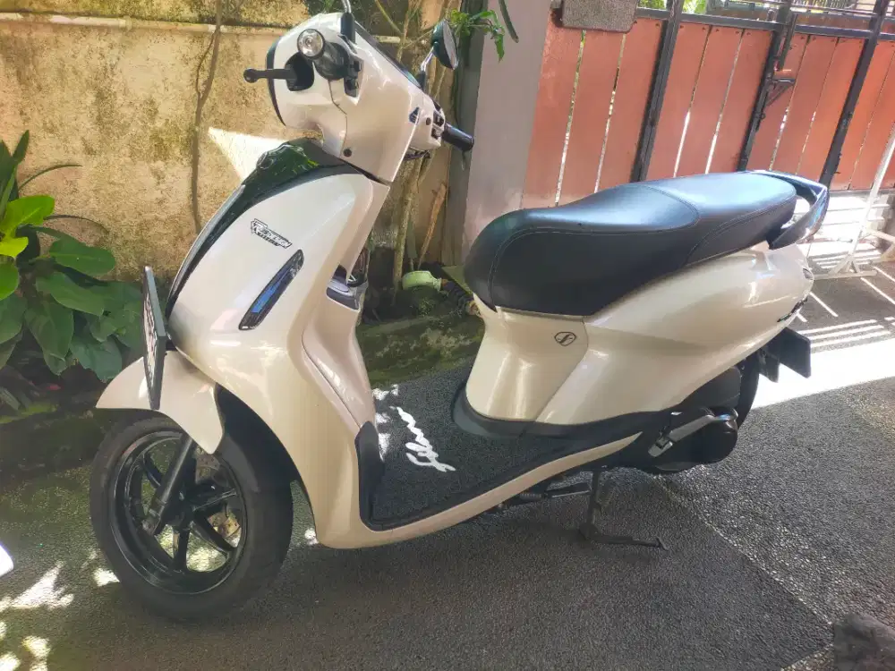 GrandFilano 2023
