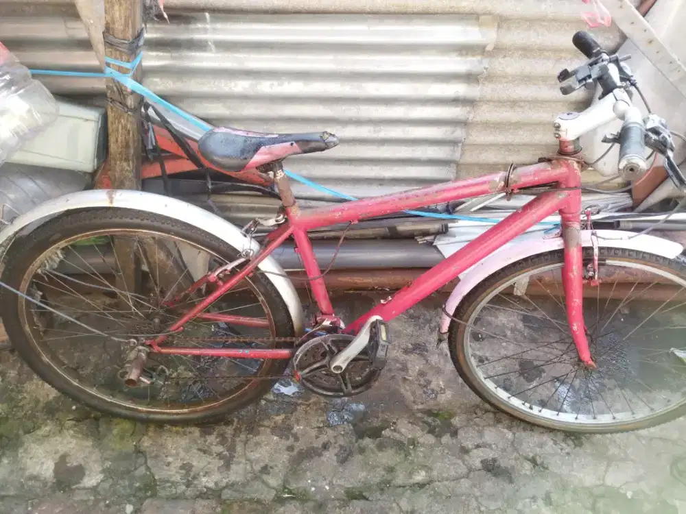sepeda Mtb united dallas