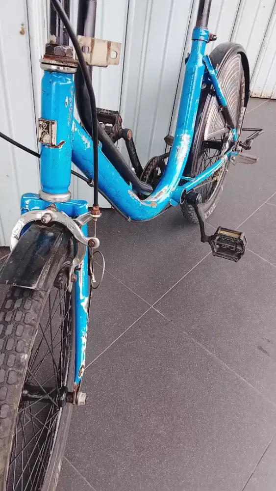 sepeda minion R 20 (win cycle)