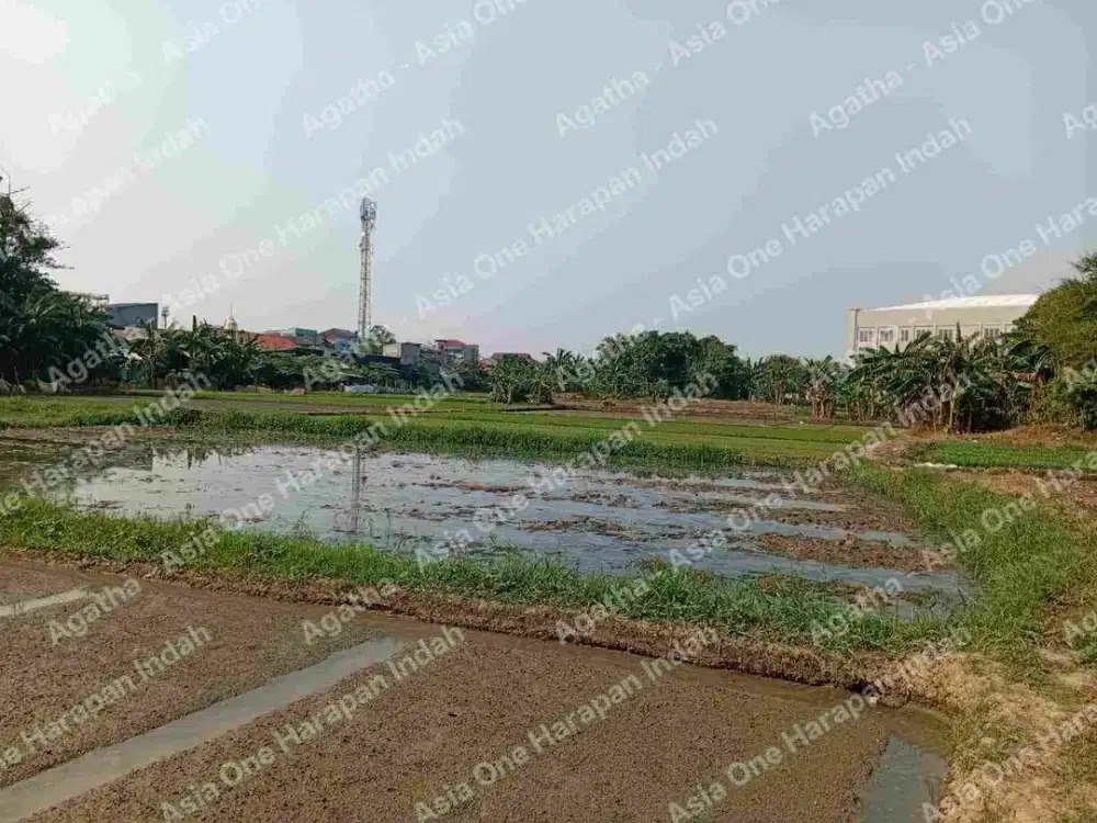 Tanah 2.2hektar di bawah NJOP Jakarta Timur di Cakung Barat dekat ke Harapan Indah Bekasi 3.5juta per m2