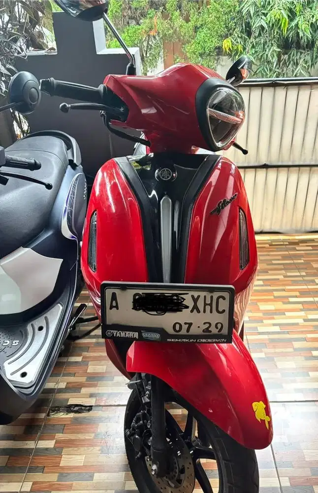Filano 2024 tangan pertama