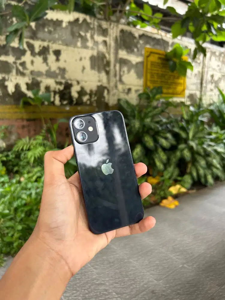 iPhone 12 Mini 256Gb Inter All Operator
