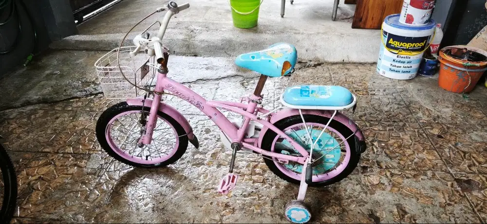 Sepeda anak family roda 3 dijual cepat murah