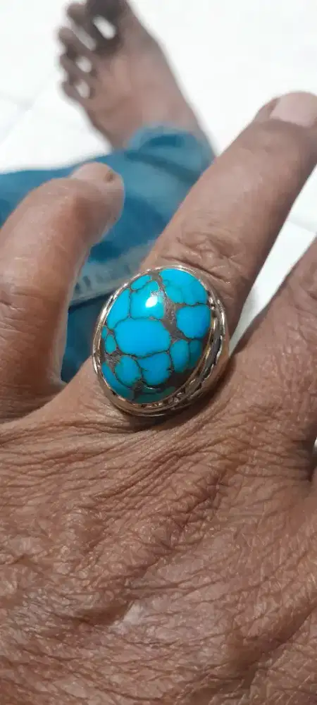 Phyrus persia bagus