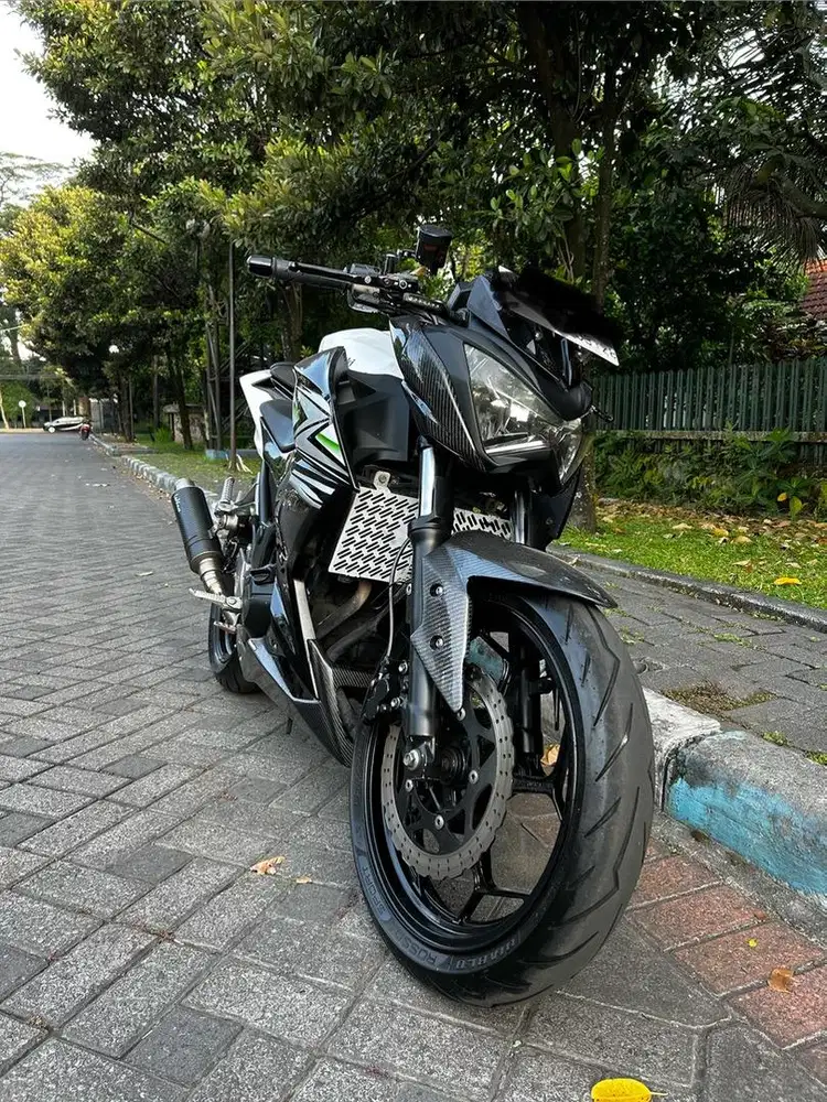 Kawasaki Z250 2014