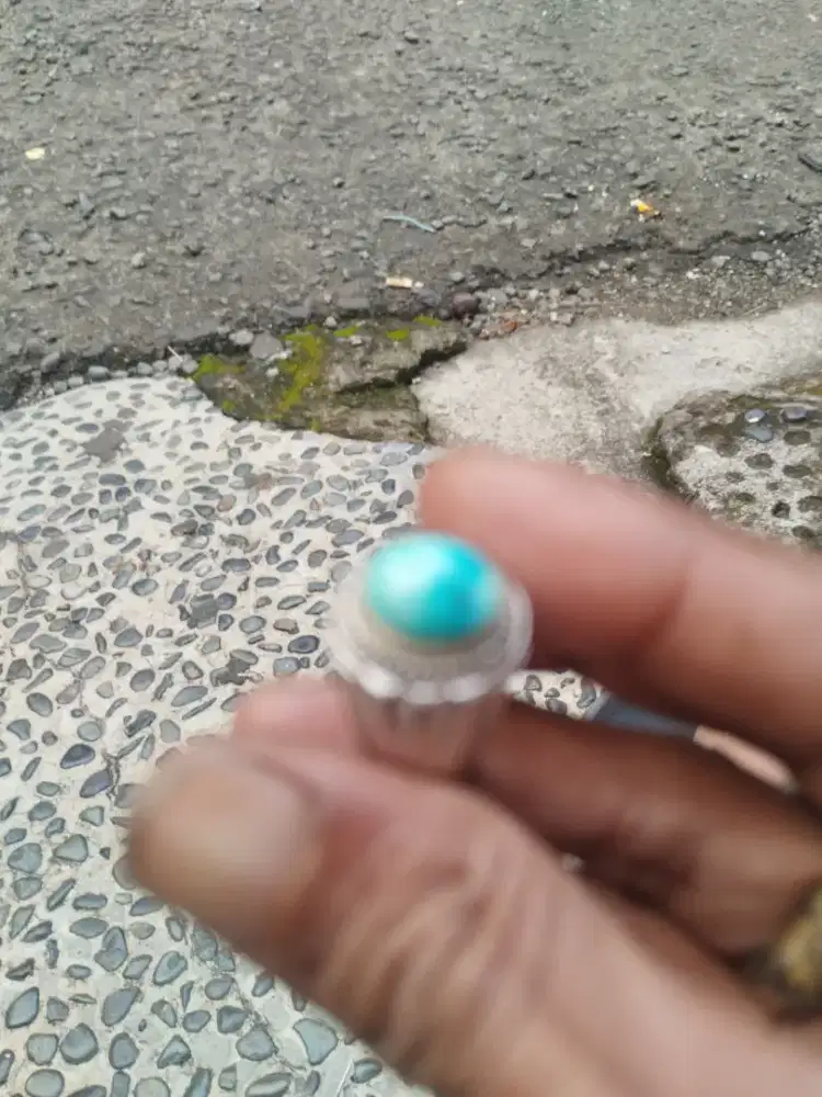 Batu virus mesir