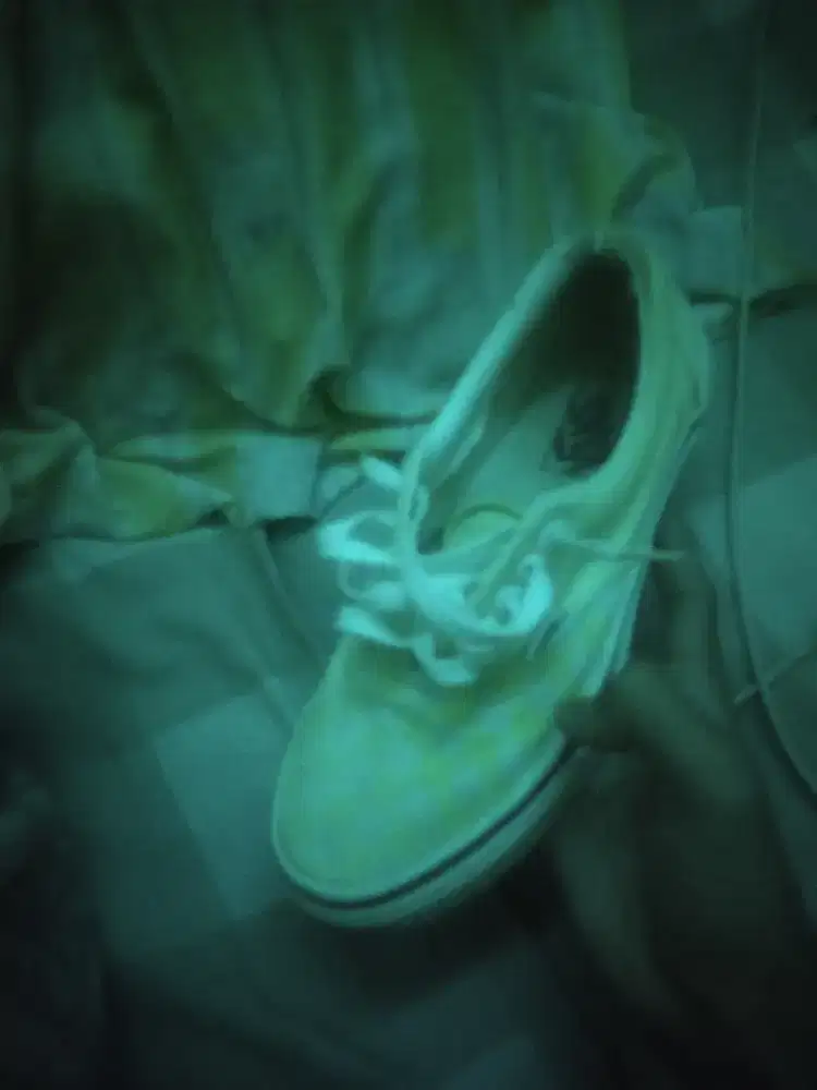 sepatu Vans era in