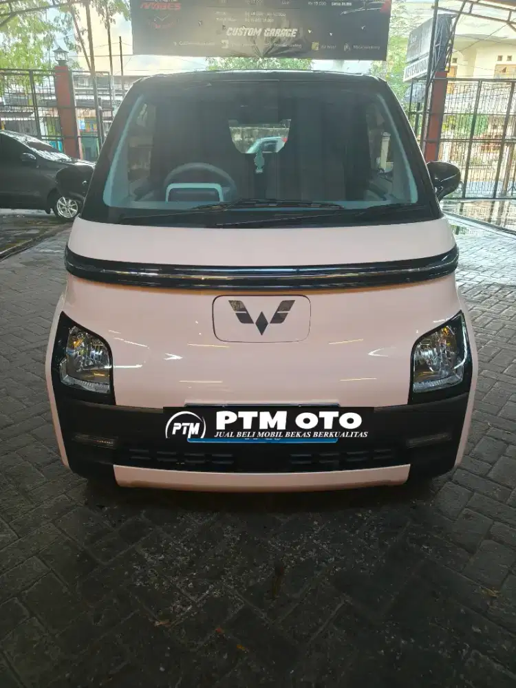 Air EV lite std range