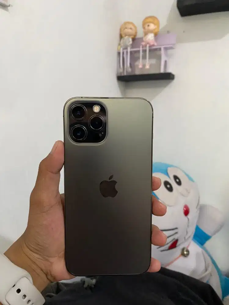 Iphone 12promax 256gb fulset nominus