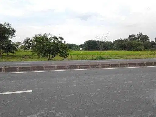 Dijual Tanah di Pantura Cirebon