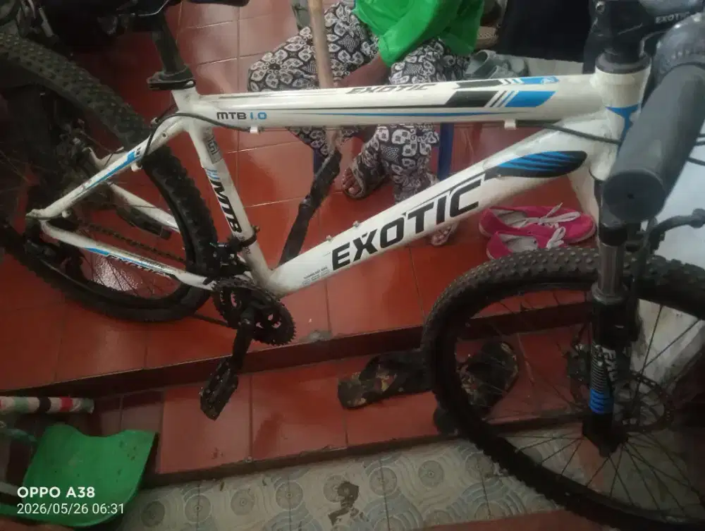 Sepeda Exotic MTB
