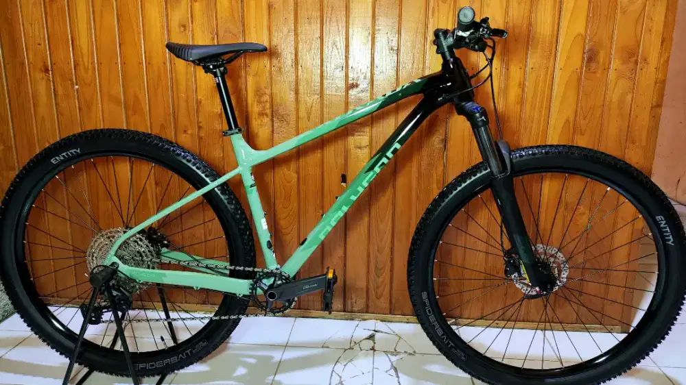 Sepeda Xtrada 6 Uk L 29er