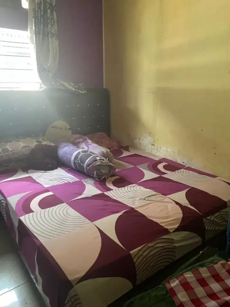 Spring bed kasur