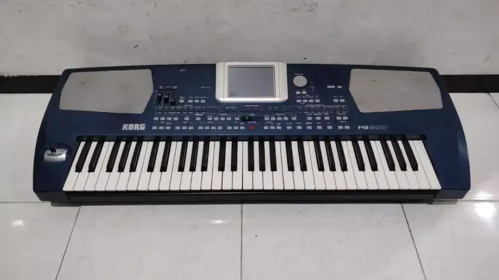 Korg pa500 second