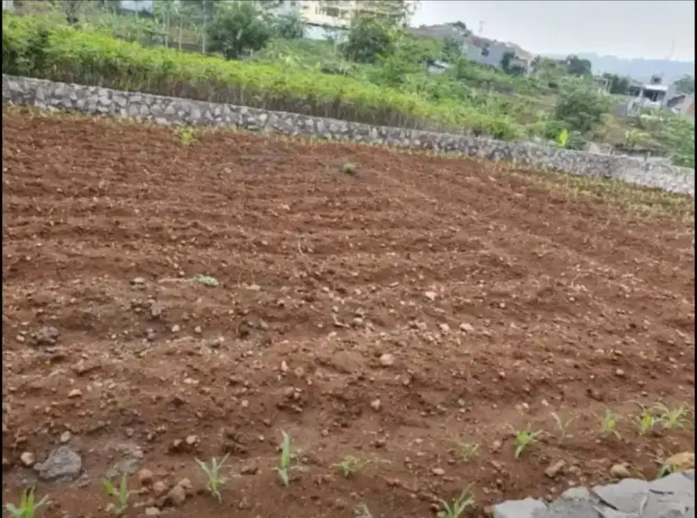 Tanah Jangli Gabeng  Dekat Candi Golf Semarang
