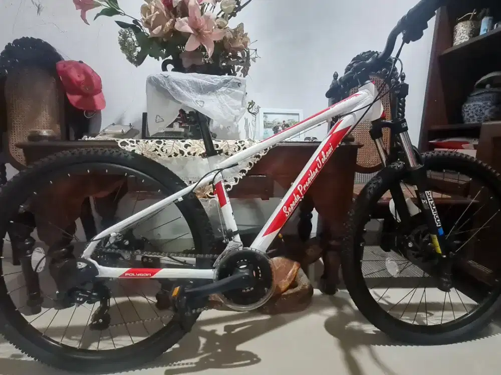 BnOB Sepeda Polygon Cascace 3 Limited Edition