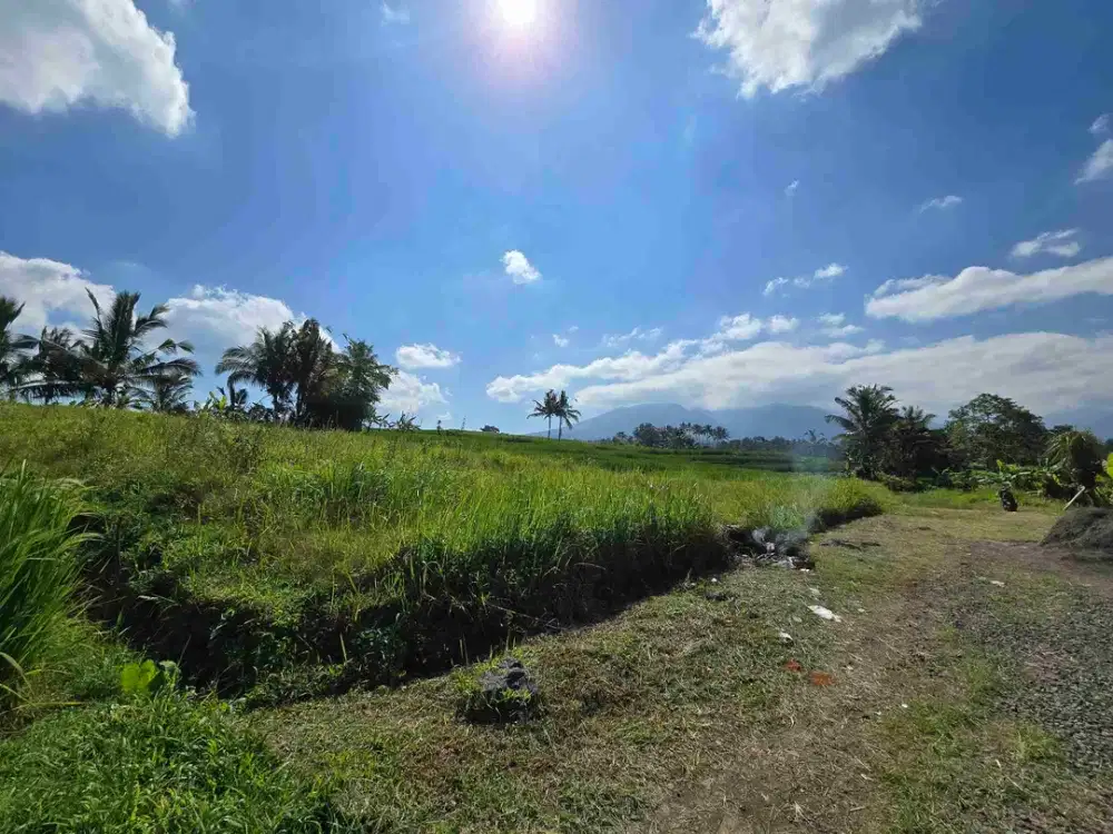 Dijual tanah dekat nyeduh kopi view gunung dan sawah cantik di bali