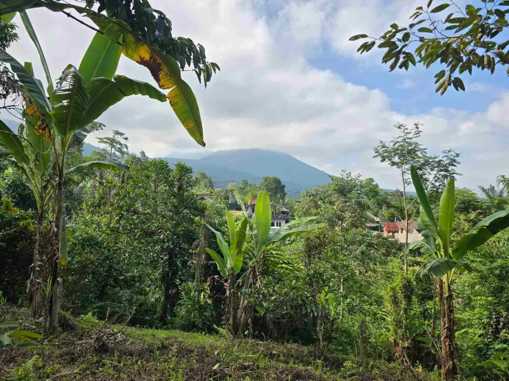Dijual tanah datar view gunung yang indah di bali