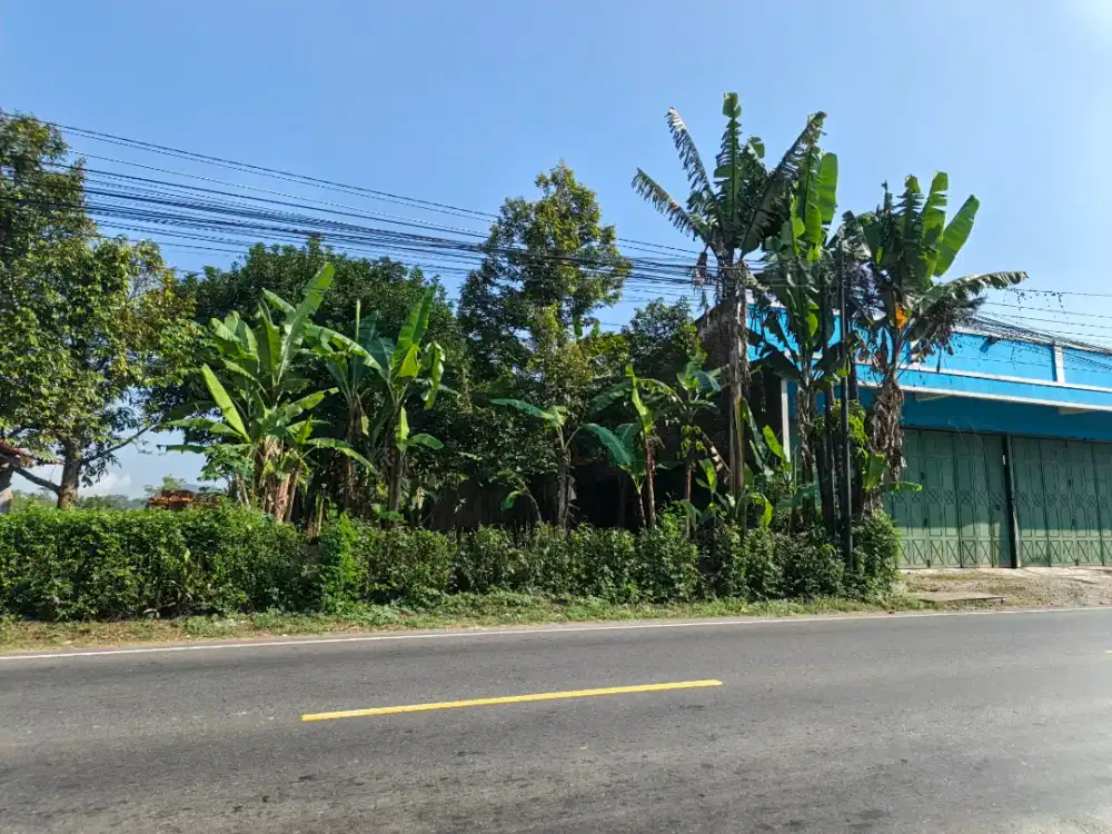 Di jual tanah lokasi pinggir jalan / Depan Kompi B