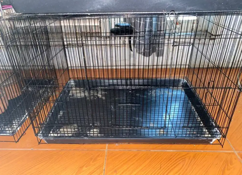 KANDANG ANJING/KUCING/MARMUT uk 40x60