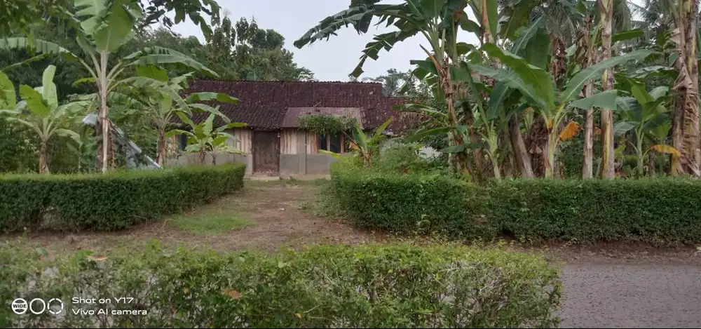 dijual Tanah daerah purworejo