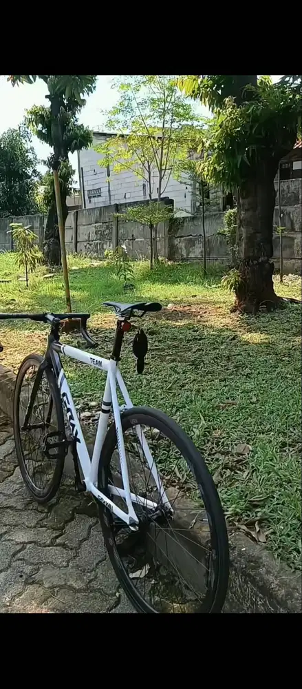 Sepeda fixie gray team
