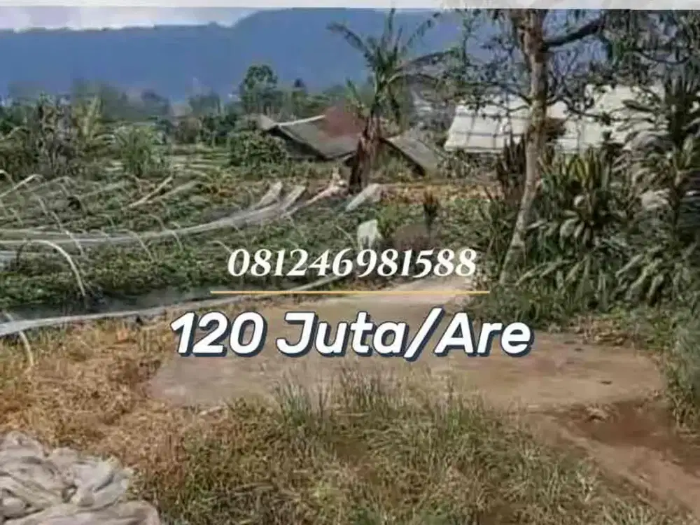 SALE Tanah View Danau Bedugul 30 Are