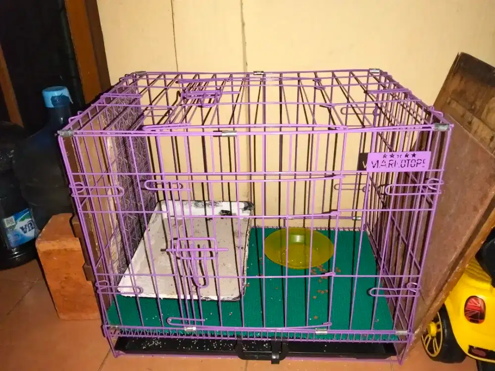 Kandang kucing lipat