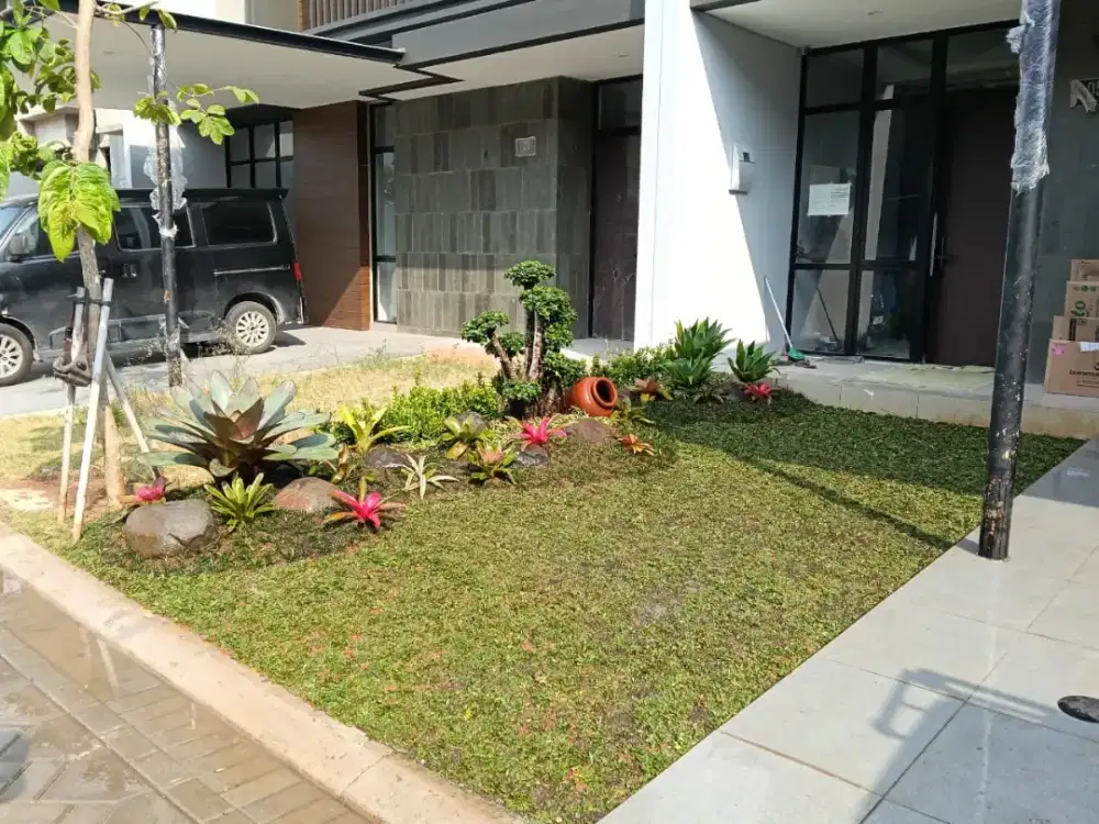 Jasa tukang taman