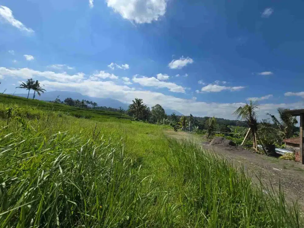 tanah luasan kecil di tempat sangat strategis berada di kawasan wisata berkembang di tabanan