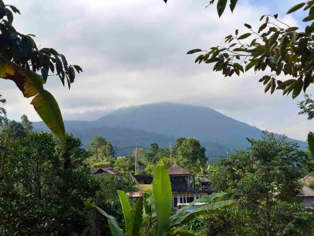 tanah di kawasan wisata yang sangat terkenal di tabanan lokasi sangat strategis dengan view gunung