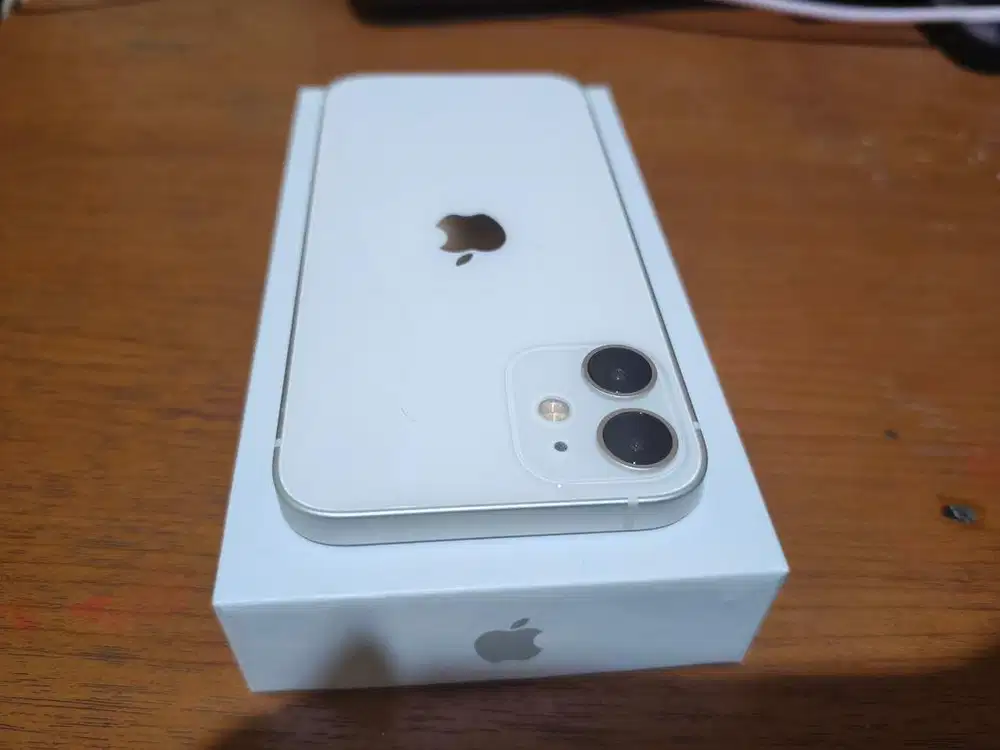 Iphone 12 Mini Mulus Beacukai