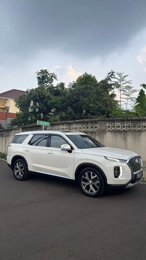 Hyundai Palisade Signature 2.2 solar 2021