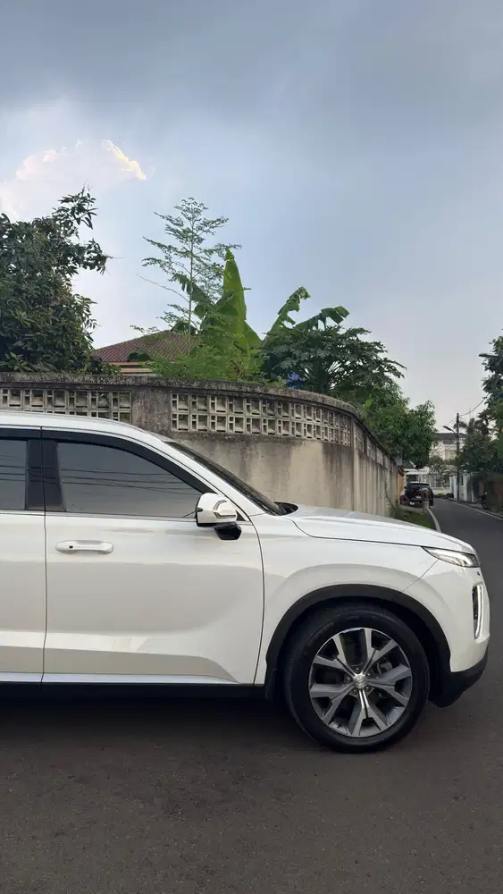 Hyundai Palisade Signature 2.2 solar 2021