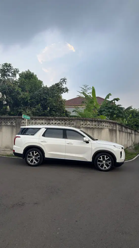 Hyundai Palisade Signature 2.2 solar 2021